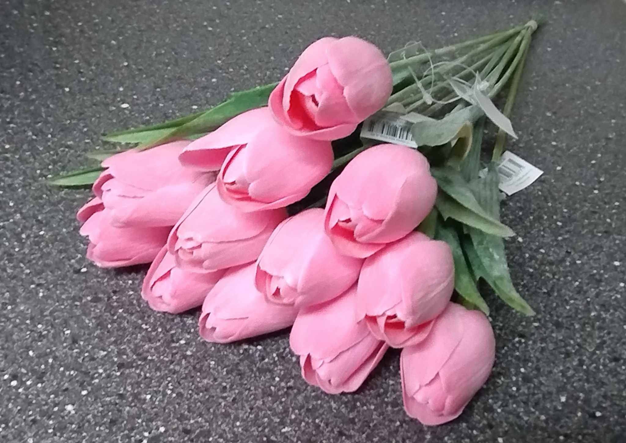 Tulipán Hot pink